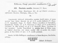 Puccinia sessilis image